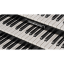 Johannus Sonique 360