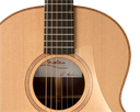 Lowden F-25 East Indian Rosewood / Red Cedar