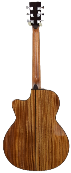 Guitares Bsg J12Cf