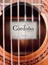 Cordoba - Requinto - Occasion