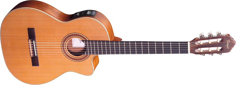 Ortega RCE 131
