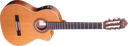Ortega RCE 131