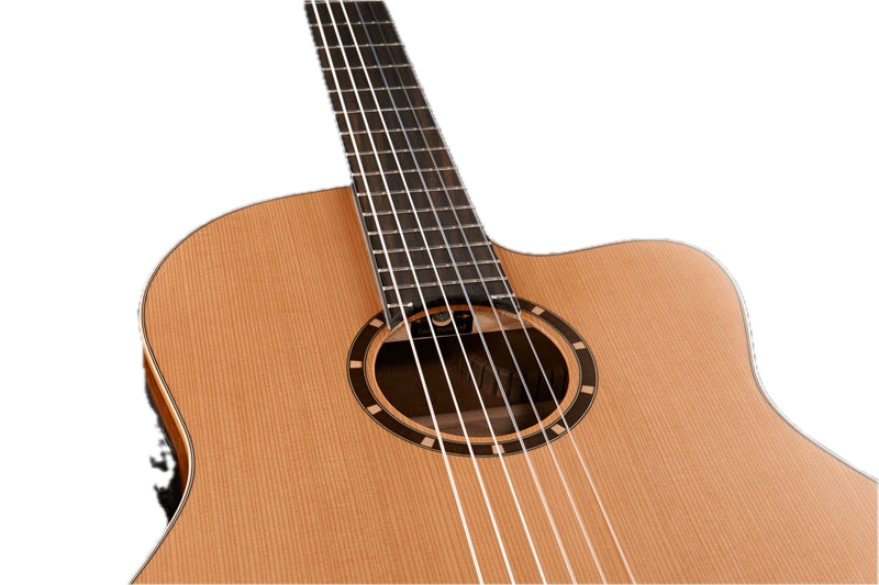 Ortega RCE 131
