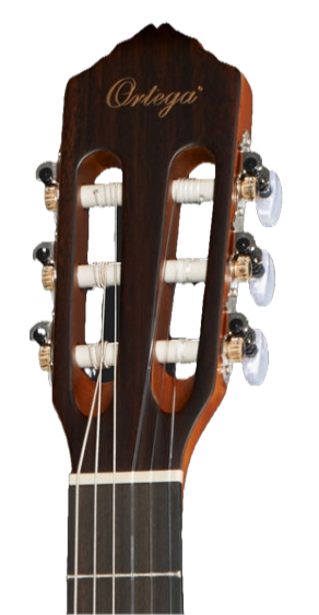 Ortega RCE 131