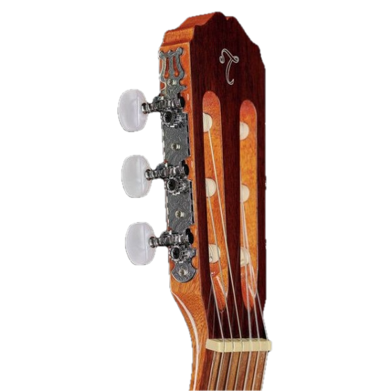 Takamine GC3 CE