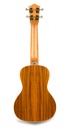 Lanikai SPST-C