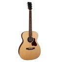 Art & Lutherie Legacy Natural EQ