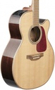 Takamine GN39CE