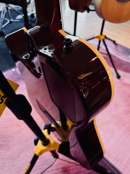 Godin Multiac Nylon Acs Sa Rosewood