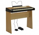 Viscount Cantorum Vi Plus