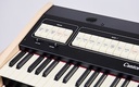 Viscount Cantorum Duo Plus
