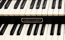 Viscount Cantorum Duo Plus