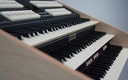 Viscount Cantorum Trio Plus