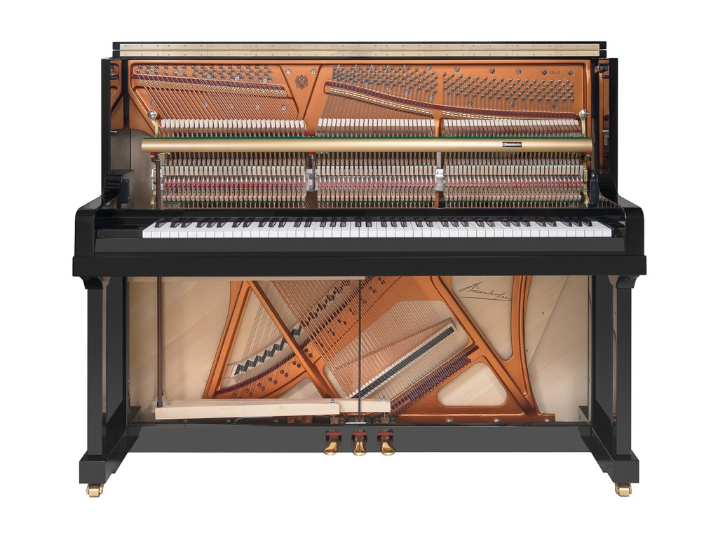 Bösendorfer 120