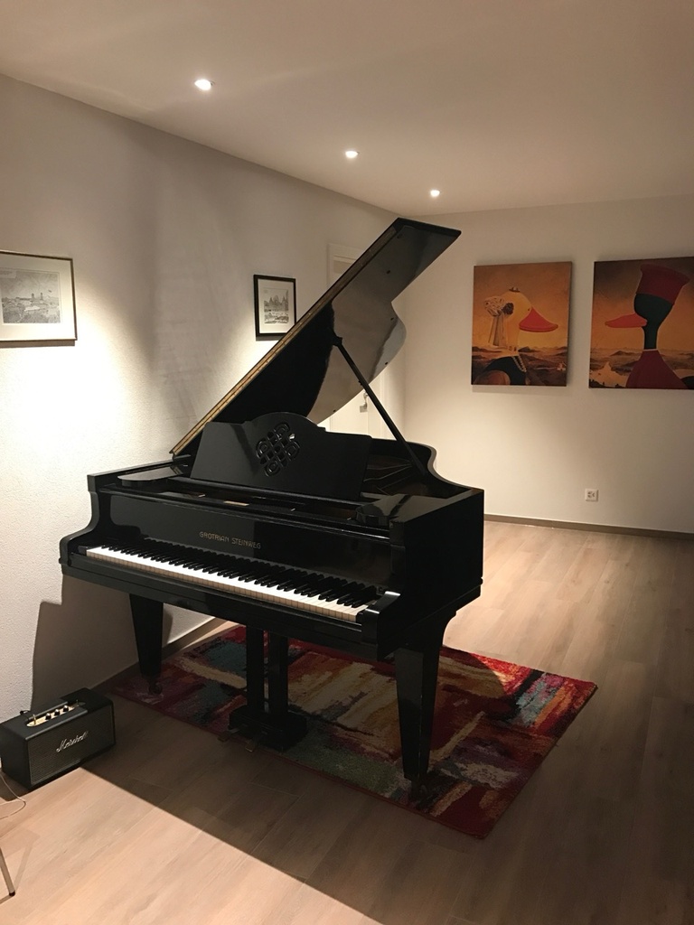 Grotrian Steinweg 160
