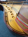 Steinway & Sons 170 - Occasion