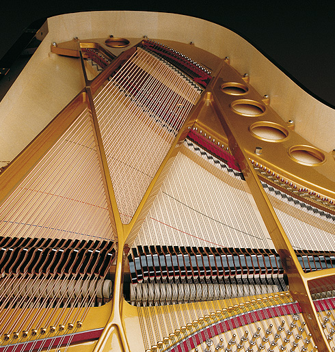 Sauter Omega 220