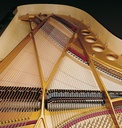 Sauter Omega 220