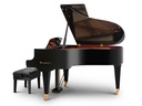 Bösendorfer 170VC
