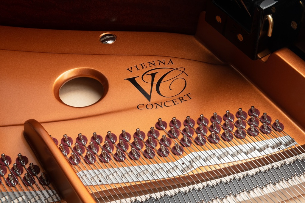 Bösendorfer 230VC