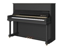 Bösendorfer 120