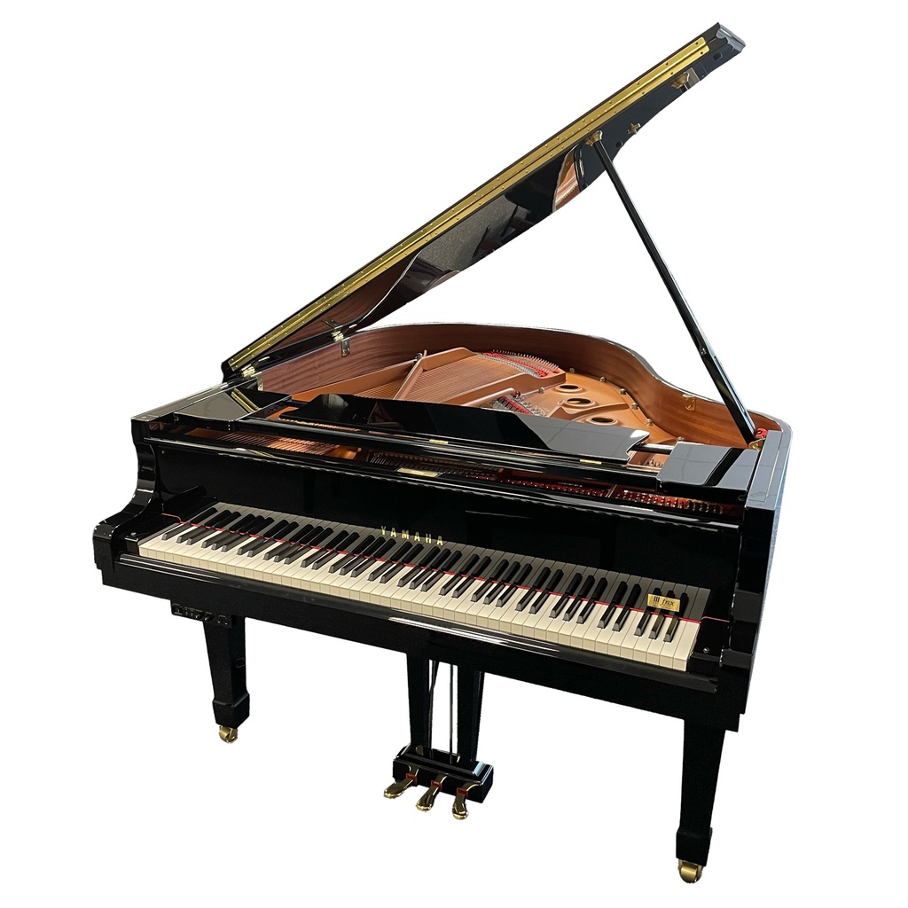 Yamaha C1 Silent - Occasion