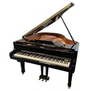 Yamaha C1X (copie)