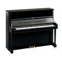 Yamaha U1