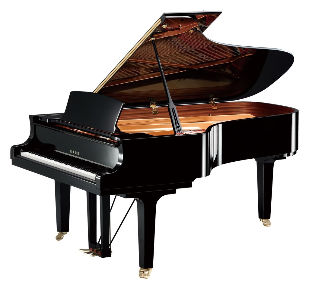 Yamaha C2X (copie)