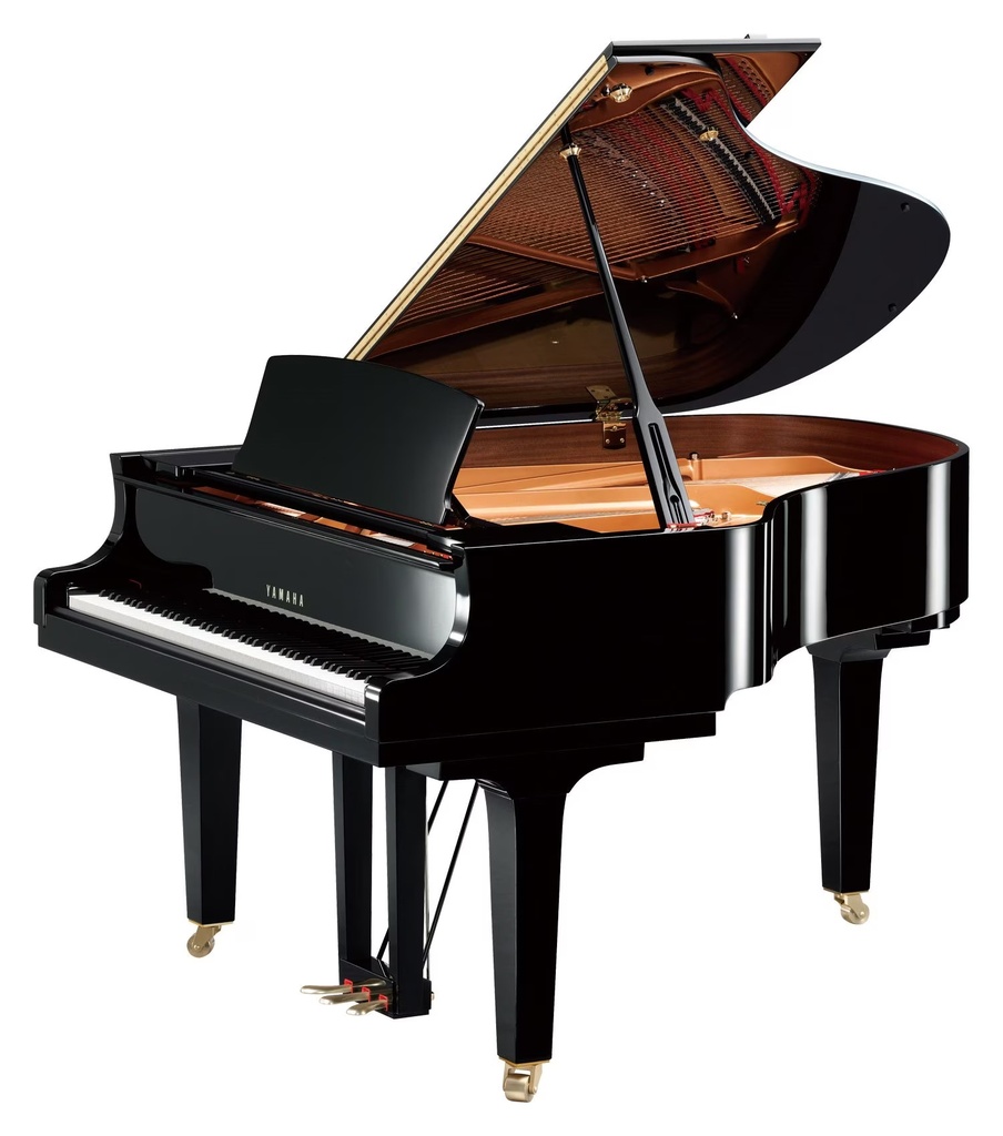 Yamaha C2X SH (copie)