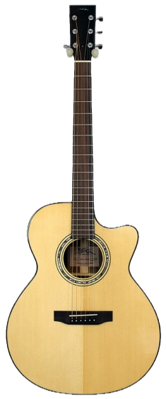 Guitares Bsg J12Cf