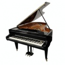 Bösendorfer 200 - Occasion