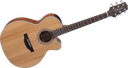 Takamine GN20CE-NS