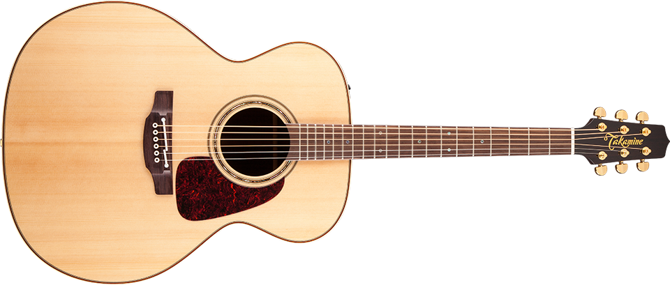 Takamine P3CN