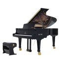 Sauter Omega 220