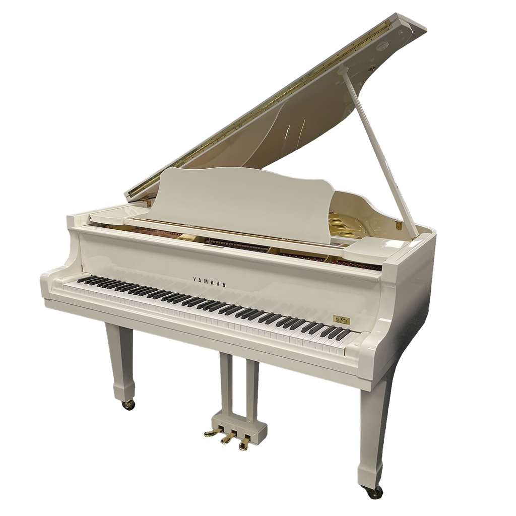 Yamaha G2 (copie)