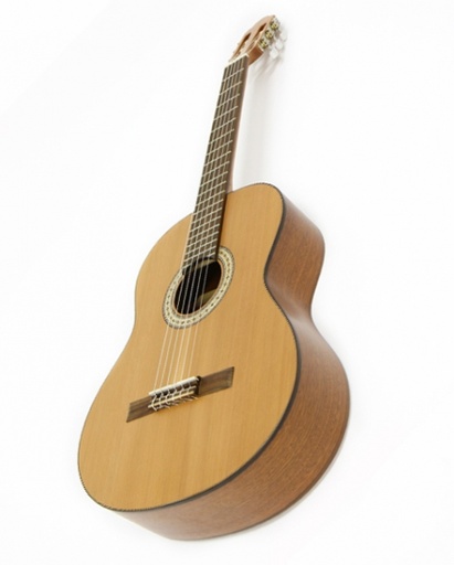 Miguel Almeira 10C
