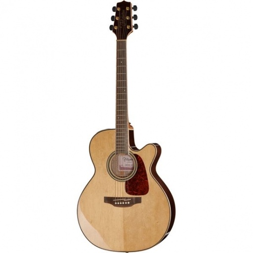Takamine GN39CE