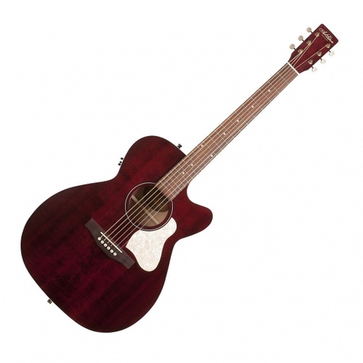 Art & Lutherie Concert Hall Legacy