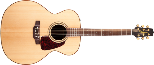 Takamine P3CN